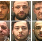 Top row, from left to right, Jake Field, Armando Shpati and Brendon Reynolds. Bottom row, from left to right, Nicholas Lloyd, Cameron Falkingham-Smith and Tramain Jeanne.
