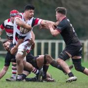 SWITCH: Ben Moa has joined Plymouth Albion from Pontypool