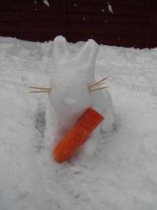 Hannah made a Snow rabbit. Chris Haddock.