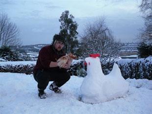 Pete Morgan sculpted a chicken out of snow this afternoon and is  pictured holding one of them called Johnny Rotten, a Chamoix Polish bantam  cockerel.
 
Sent in by Heather Morgan of Caerleon