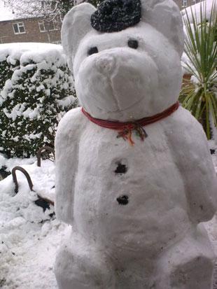 Check out our snow bear from Caerleon we think he's a real cool bear. Joanne Didwell.
