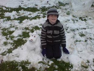 thomas mansfield and his 

snow dog from maesglas