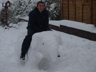 Snow Elephant Matthew Haynes, Pontypool