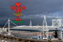 WRU issues apology after allegation of sexual assualt at Principality Stadium