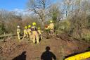 Jack the horse rescued by firefighters after getting stuck in muddy ditch