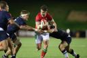 LEADER: Dragons centre Harri Ackerman on the charge for Wales U20s against Scotland