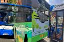 Newport and Stagecoach buses damaged in city centre crash