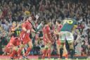 MOMENT TO SAVOUR: In November Wales players were able celebrate victory against South Africa, only their second ever