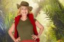 THE COUCH POTATO: Lady C's exit is not the end of I'm a Celeb...