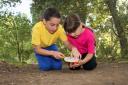 CREEPY CRAWLIES: Bug hunting in the woods.