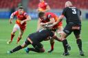TOUGH TEST: The Kings thrashed us in Port Elizabeth last year and we can’t be as loose