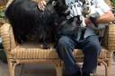 PLAYING THE GOAT: Alan Camfield with Tuppence, Leila, and Mr Chips the pygmy goats at home in Newport