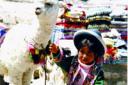 EARNING EXTRA SOLS: A market trader's daughter in the Andean highlands posES for visitors  
