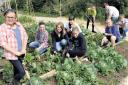 DIGGING IN: Members of the gardening club in the school’s allotments