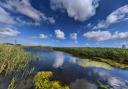 A sunny day at Newport Wetlands. Picture: South Wales Argus Camera Club member Matthew James