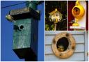 Celebrating National Nest Box week in nine pictures from Gwent