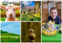 Look: Easter in Gwent - in 10 pictures