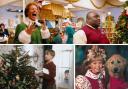 Vue Cwmbran will be showing some festive favourites this Christmas