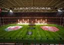 Wales will face Fiji, Australia and South Africa at the Principality Stadium in November 2024