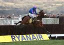 FLYING LEAP: Cue Card is spring-heeled on his way to victory in the Ryanair Chase (Pic: David Davies)
