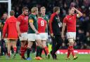 Wales v South Africa: as it happened