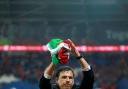 Wales manager Chris Coleman celebrates after the UEFA Euro 2016 Qualifying match at Cardiff City Stadium, Cardiff. PRESS ASSOCIATION Photo. Picture date: Tuesday October 13, 2015. See PA story SOCCER Wales. Photo credit should read: David Davies/PA Wire.
