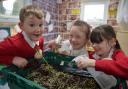 George Street Primary School of the week.  Jack Lloyd 7, Emma Farr 7 and Esmay Williams 7 watering the plants. www.christinsleyphotography.co.uk