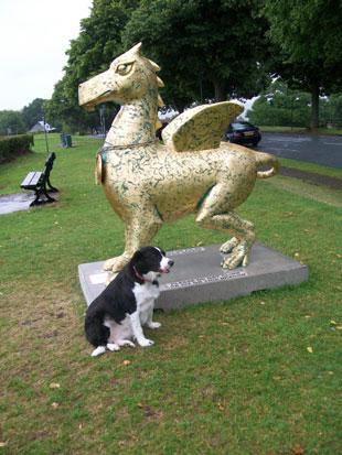 Daisy dog and Goldie Lookin Dragon