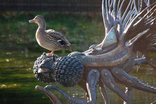 Ducks are a frequent visitor to the canal near the centre, but these 
photos of a duck perched on one leg on the head of the 'Dragonfly'
sculpture are quite unusual and might make an amusing feature.

Tom Maloney
Fourteen Locks Canal Centre