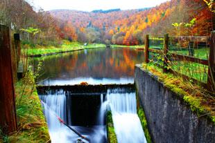 Autumn photos taken in Cwmcarn South East Wales 
Taken by Chris Powell of Howard's butchers Risca