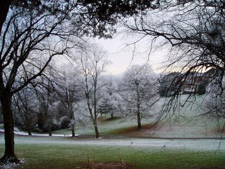 Beechwood Park from John Pope