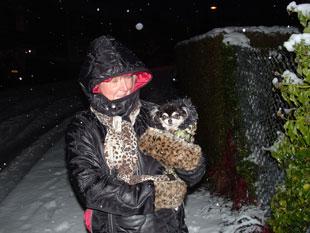 Mrs Trisha Meek out trekking in the snow with her pet chihuahua "Tazz" in Torfaen.
