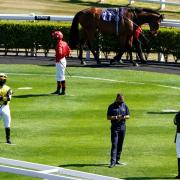 BACK: Jockeys observe social distancing at Newcastle Racecourse