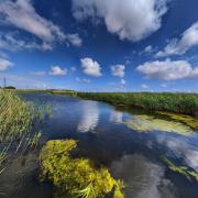 A sunny day at Newport Wetlands. Picture: South Wales Argus Camera Club member Matthew James