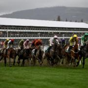 These are all the runners and riders for the seven races taking place at Cheltenham Festival on Thursday (PA)