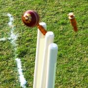 Local cricket round-up: Sudbrook stunned on opening weekend