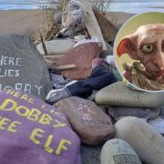 Dobby memorial. Picture: Elizabeth Fitzpatrick