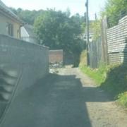 The narrow lane that has bee used to access plot two - Springfield cottage.