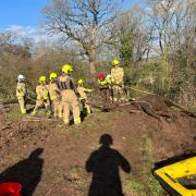Jack the horse rescued by firefighters after getting stuck in muddy ditch