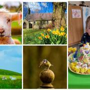 Look: Easter in Gwent - in 10 pictures