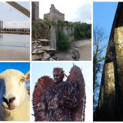 Strong pictures: Nine images from around Gwent