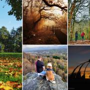Check out these great places for an autumn walk