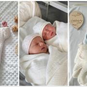 Six new arrivals to welcome to the world