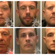 Top row, from left to right, Charlie Taylor, Angus Gittings and Lee Mears. Bottom row, from left to right, James Walker, Owen Pendree and Feti Spahiu.