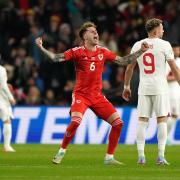 INFLUENTIAL: Wales defender Joe Rodon