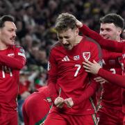 DELIGHT: David Brooks set Wales on their way to victory