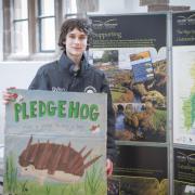 Dylan raises awareness about hedgehogs and funds for rescue centres caring for the critters