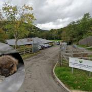 A common pipistrelle bat of the type  and a general view of the entrance to Cwmffrwdoer Primary School