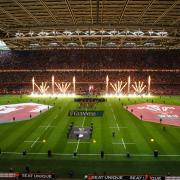Wales will face Fiji, Australia and South Africa at the Principality Stadium in November 2024