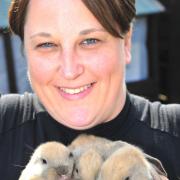 FIVE MINUTES WITH: Kerry Gwillym - Cwmbran rabbit breeder